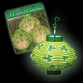 Light Up LED Shamrock Lantern - 3 Pack